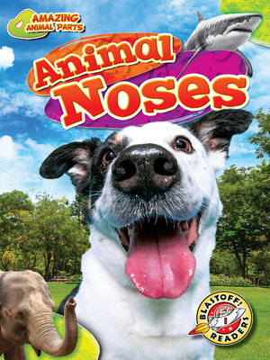 cover image of Animal Noses